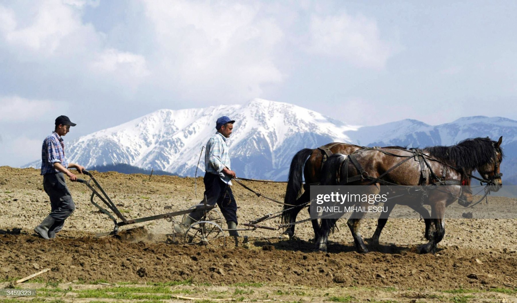 SIBIU, ROMANIA:  Romanian peasant uses an old plough pulled by horses, near Sibiu city (350 km from Bucharest), 23 April 2003. Romania hopes to finish all the negotiations chapters with EU this year, including agriculture, tough some 40 percent of Romanian population that live in countryside areas and depends on primitive subsistence agriculture.. AFP PHOTO DANIEL MIHAILESCU  (Photo credit should read DANIEL MIHAILESCU/AFP via Getty Images)